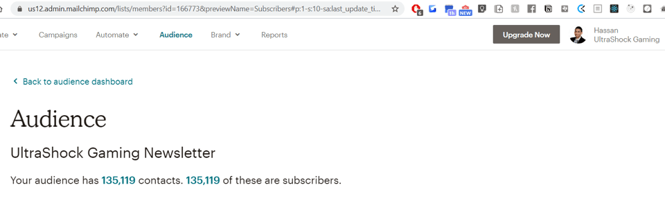 Screenshot of Mailchimp Newsletter